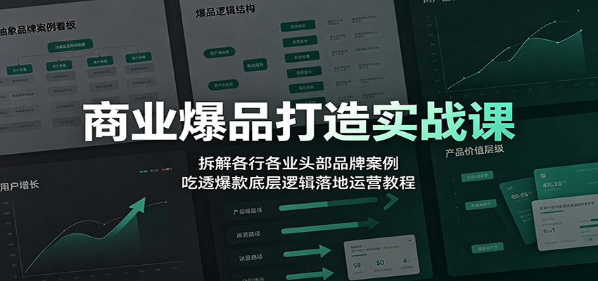 商业爆品打造实战课：拆解各行各业头部品牌案例，吃透爆款底层逻辑落地运营教程-百盟网