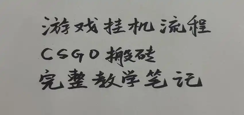 游戏挂机全流程笔记分享,CSGO游戏搬砖,小白看了当天学会见收益-百盟网