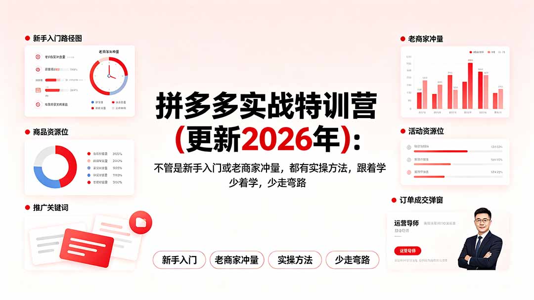拼多多实战特训营(更新2026年-百盟网