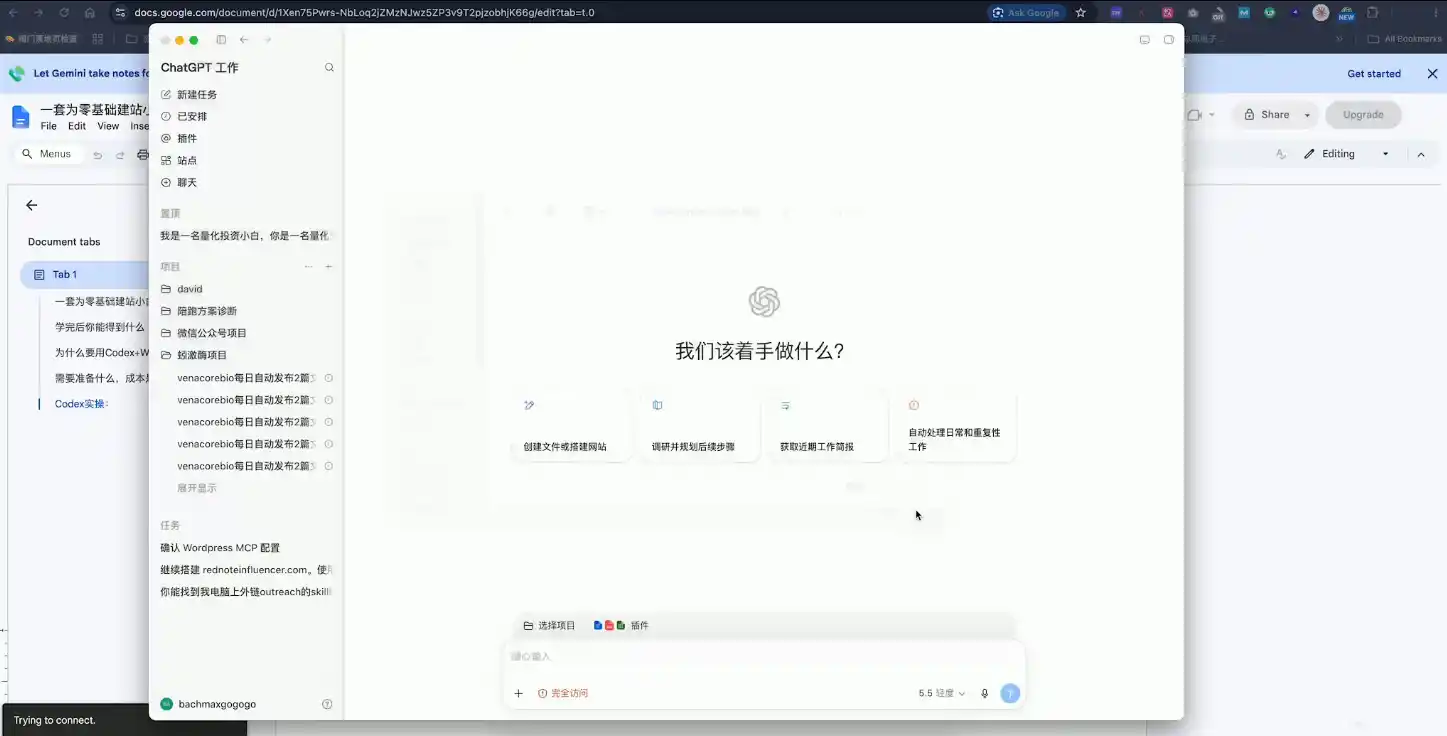 大卫·外贸人Codex + WordPress建站课(更新8月)-百盟网