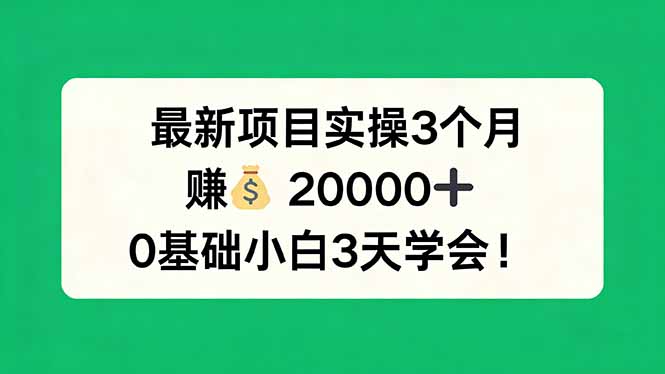 最新项目实操3个月，赚钱20000+，0基础小白3天学会！-百盟网