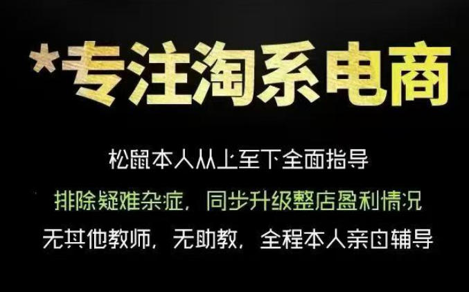 松鼠会电商VIP课程，从基础布局到高阶优化，助你掌握淘宝运营逻辑，提升店铺流量与转化(更新0711)-百盟网
