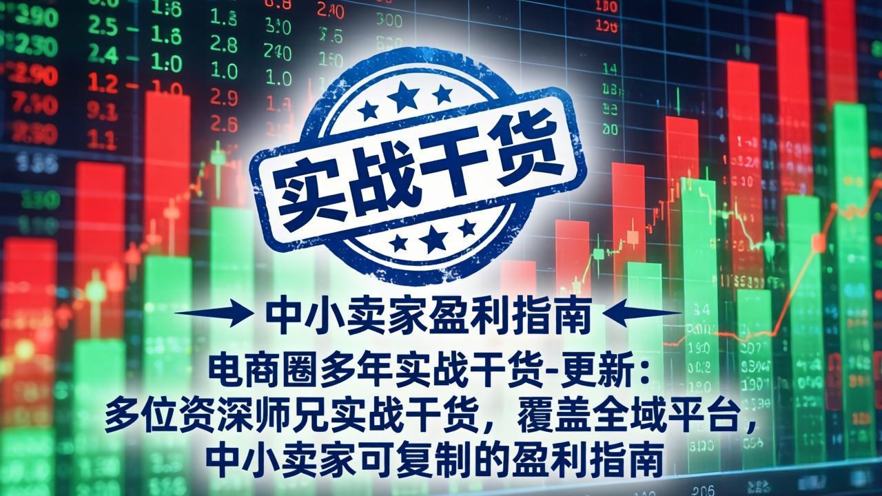 电商圈多年实战干货-更新4月：多位资深师兄实战干货，覆盖全域平台，中小卖家可复制的盈利指南-百盟网