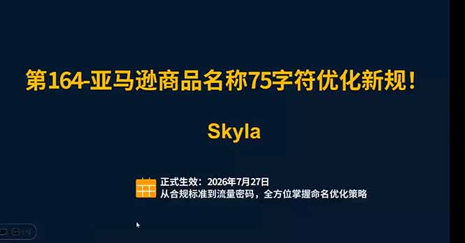 亚马逊跨境实战课：全品类选品逻辑｜SP/SB/SD广告精细化｜新品打爆旺季爆单全套运营教程-百盟网